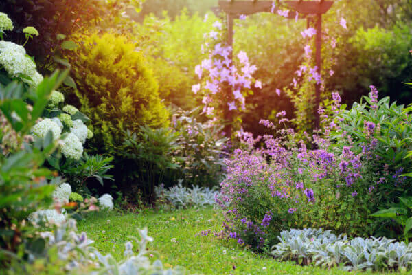 trädgård med blommor på sommaren